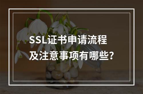 SSL证书申请流程及注意事项有哪些？