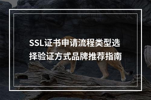 SSL证书申请流程类型选择验证方式品牌推荐指南