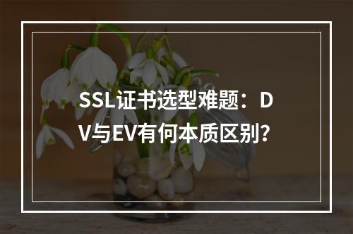 SSL证书选型难题：DV与EV有何本质区别？