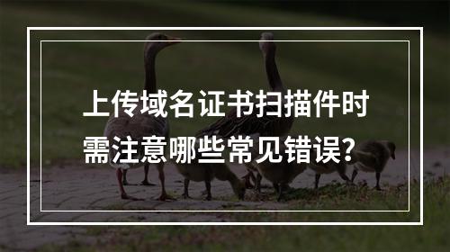 上传域名证书扫描件时需注意哪些常见错误？