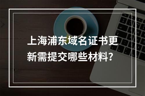 上海浦东域名证书更新需提交哪些材料？