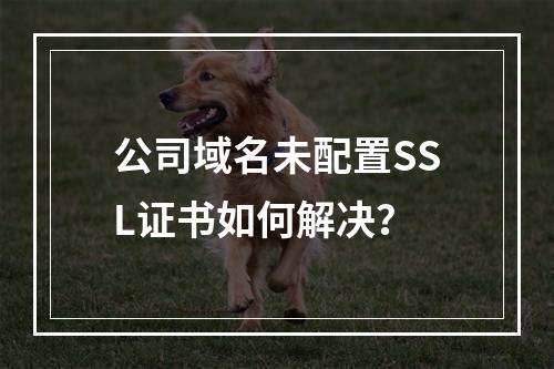 公司域名未配置SSL证书如何解决？
