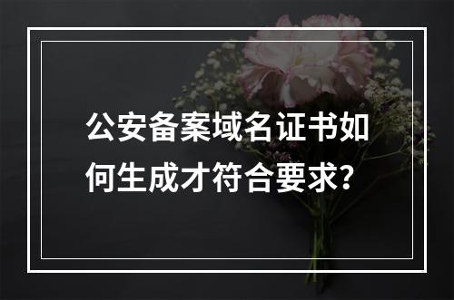 公安备案域名证书如何生成才符合要求？