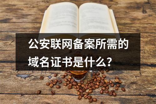 公安联网备案所需的域名证书是什么？