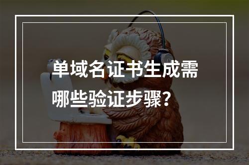 单域名证书生成需哪些验证步骤？