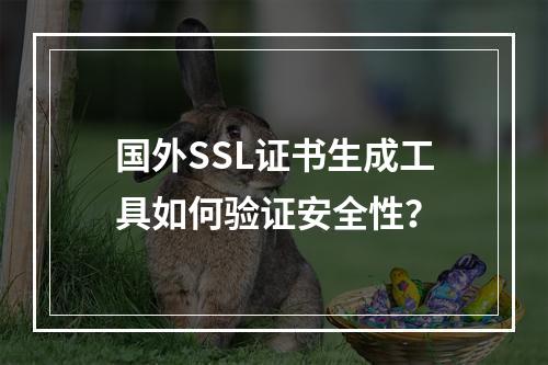 国外SSL证书生成工具如何验证安全性？