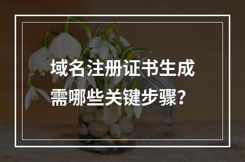 域名注册证书生成需哪些关键步骤？