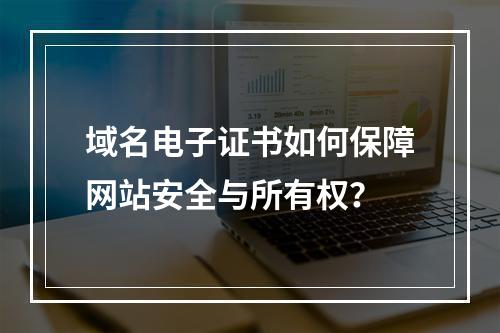 域名电子证书如何保障网站安全与所有权？
