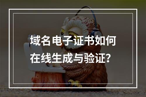 域名电子证书如何在线生成与验证？