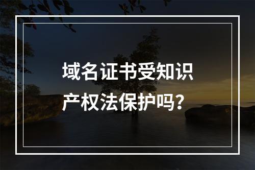 域名证书受知识产权法保护吗？