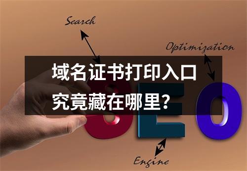 域名证书打印入口究竟藏在哪里？