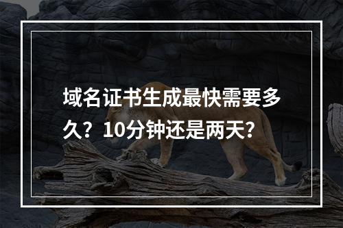 域名证书生成最快需要多久？10分钟还是两天？