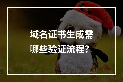 域名证书生成需哪些验证流程？