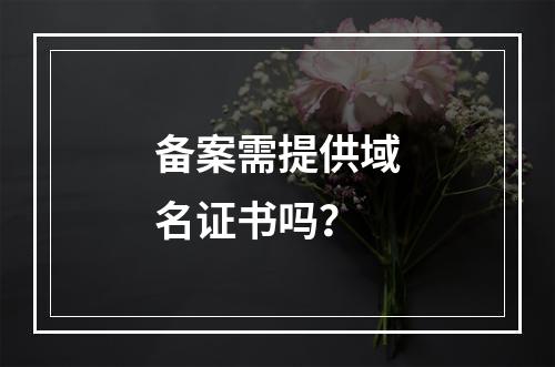 备案需提供域名证书吗？