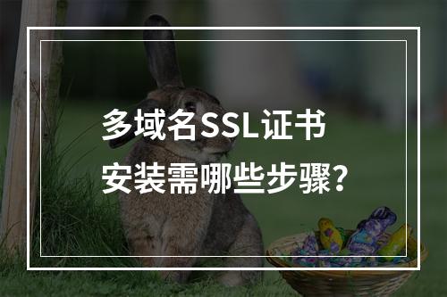 多域名SSL证书安装需哪些步骤？