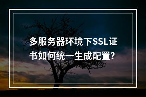 多服务器环境下SSL证书如何统一生成配置？