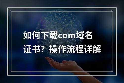 如何下载com域名证书？操作流程详解