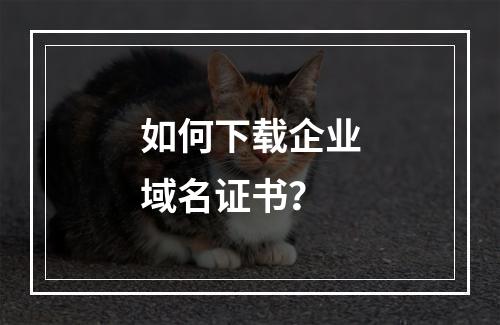 如何下载企业域名证书？