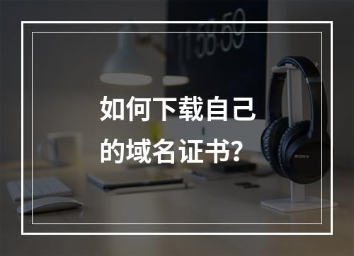 如何下载自己的域名证书？