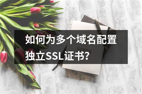 如何为多个域名配置独立SSL证书？