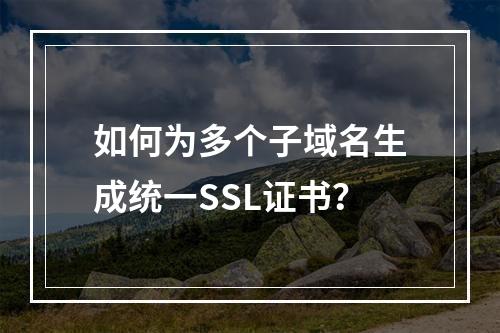如何为多个子域名生成统一SSL证书？