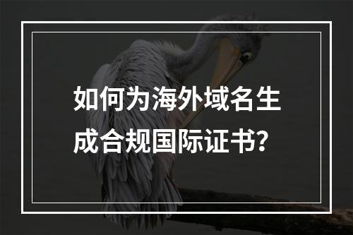 如何为海外域名生成合规国际证书？