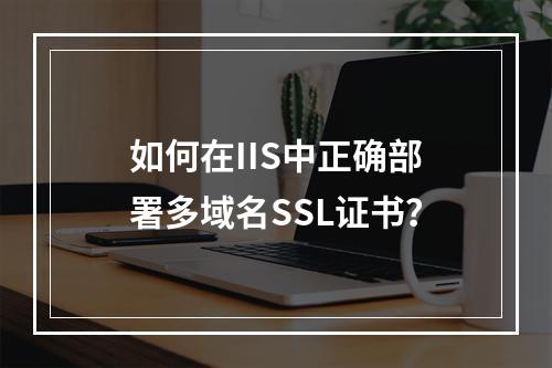 如何在IIS中正确部署多域名SSL证书？
