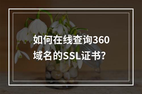 如何在线查询360域名的SSL证书？