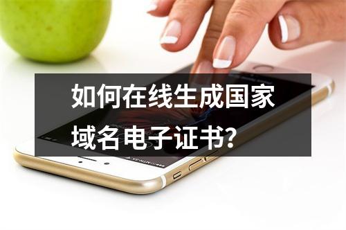 如何在线生成国家域名电子证书？