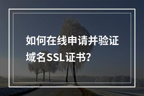 如何在线申请并验证域名SSL证书？