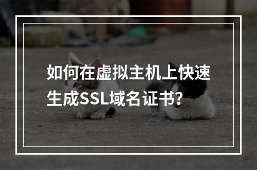 如何在虚拟主机上快速生成SSL域名证书？