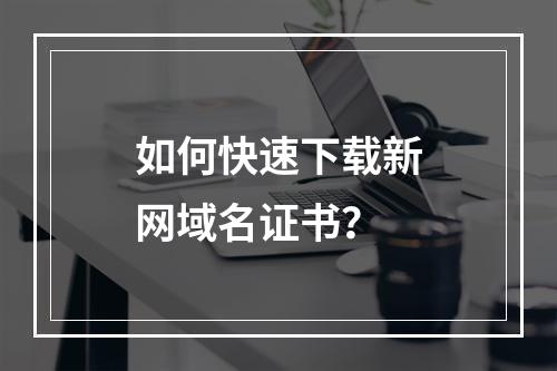 如何快速下载新网域名证书？