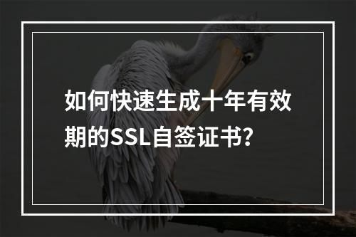 如何快速生成十年有效期的SSL自签证书？