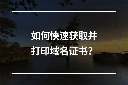 如何快速获取并打印域名证书？