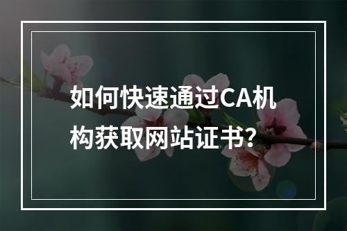 如何快速通过CA机构获取网站证书？
