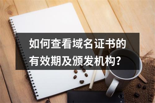 如何查看域名证书的有效期及颁发机构？