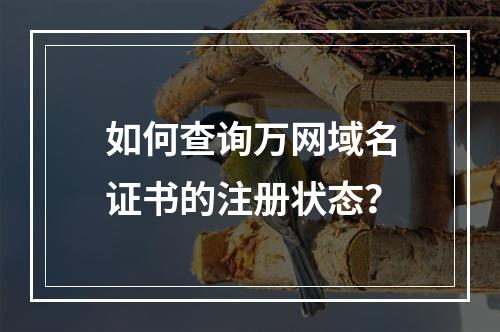 如何查询万网域名证书的注册状态？