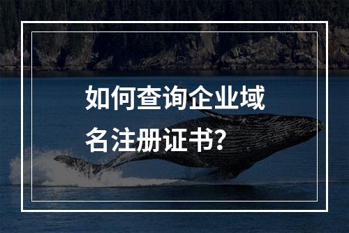 如何查询企业域名注册证书？
