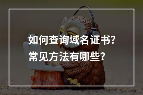 如何查询域名证书？常见方法有哪些？