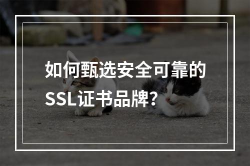 如何甄选安全可靠的SSL证书品牌？