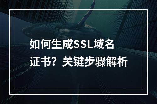 如何生成SSL域名证书？关键步骤解析