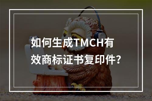 如何生成TMCH有效商标证书复印件？