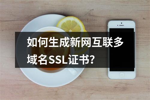 如何生成新网互联多域名SSL证书？