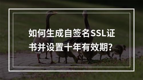 如何生成自签名SSL证书并设置十年有效期？