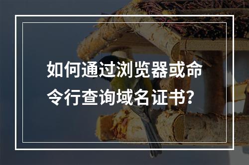 如何通过浏览器或命令行查询域名证书？