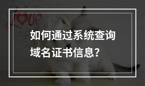 如何通过系统查询域名证书信息？