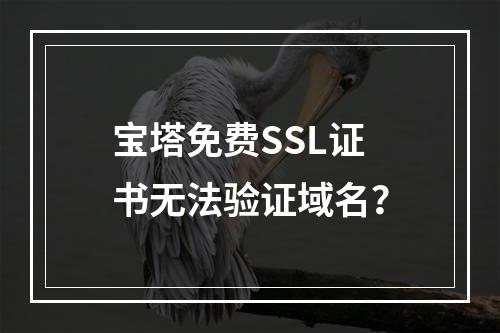 宝塔免费SSL证书无法验证域名？