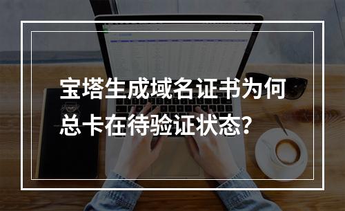 宝塔生成域名证书为何总卡在待验证状态？