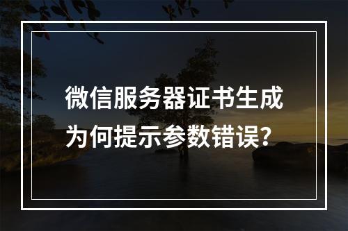 微信服务器证书生成为何提示参数错误？