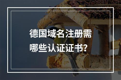 德国域名注册需哪些认证证书？